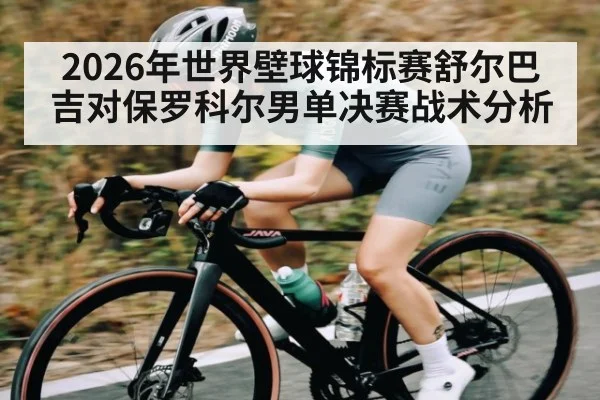 2026年世界壁球锦标赛舒尔巴吉对保罗科尔男单决赛战术分析
